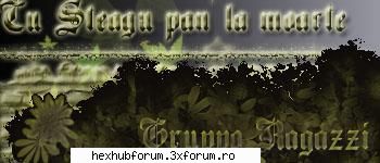asta l-am facut pentru ... in adobe photoshop softuri de webdesign
